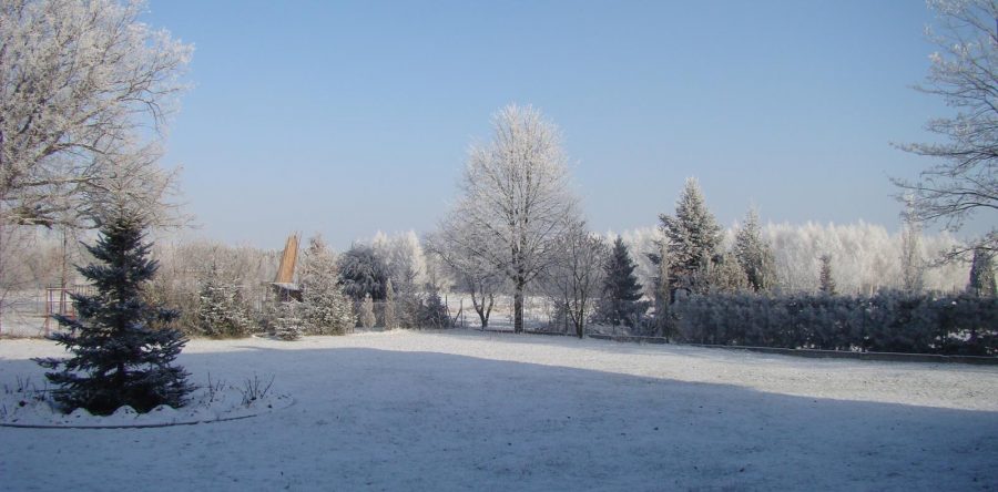 Pozostała galeria 06